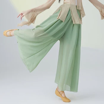 Новый китайский народный танцевальный костюм, женские широкие брюки, классическая современная одежда для танцев